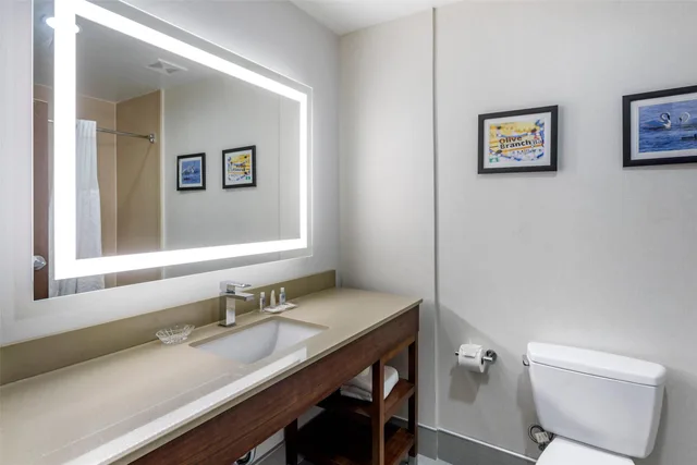 جناح بسرير كينج، Comfort Suites Olive Branch - Memphis South 5/5
