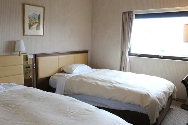 Room, Twin Beds, Smoking, Hotel Grand Terrace Toyama 1/2