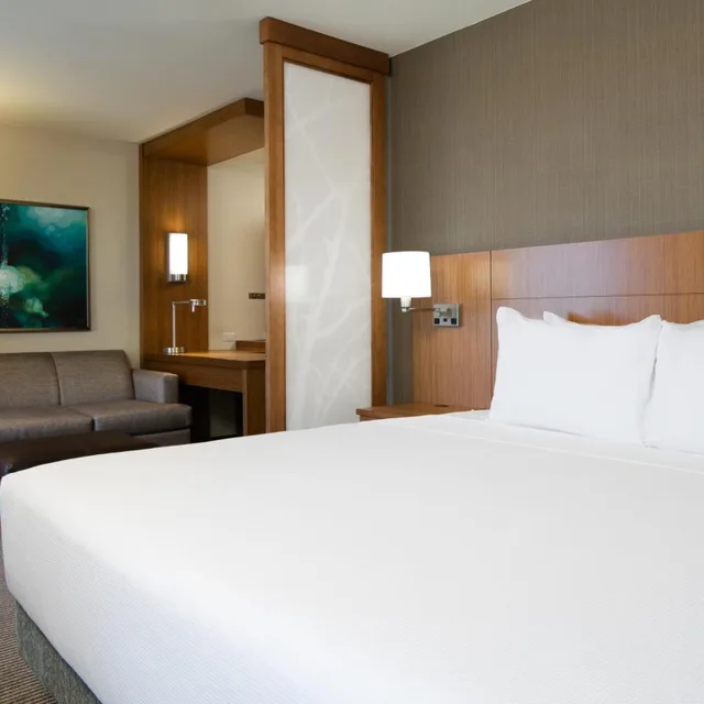 Specialty, King Bed, Sofa، Hyatt Place Kansas City Lenexa City Center 1/3