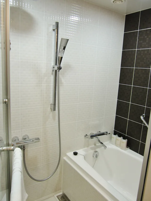 غرفة قياسية بسريرين منفصلين للمدخنين، Daiwa Roynet Hotel Kyoto Shijo Karasuma 2/3