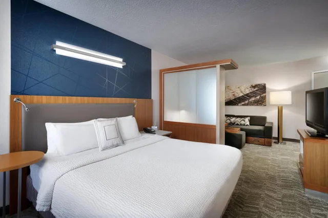 Studio, King Bed, Springhill Suites Provo 1/10