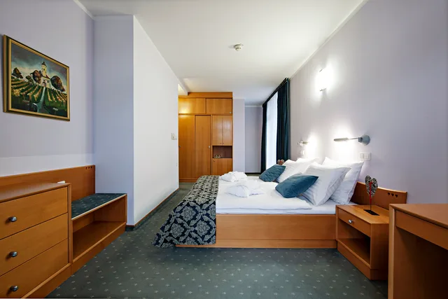 غرفة قياسية بسرير مزدوج مع سرير إضافي، Izvir Hotel 2/3