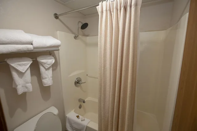 Deluxe, 2 Queen Beds, Pet Friendly, Hotel Grand Victorian 4/4