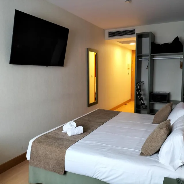 Excellence, Double or Twin Bed، Hotel Naval Sestao 2/6