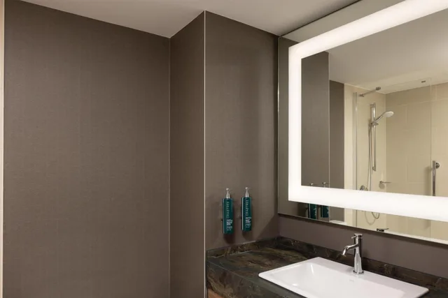 غرفة بريميوم بسرير كينج مع أريكة، DoubleTree by Hilton Luxembourg 3/4