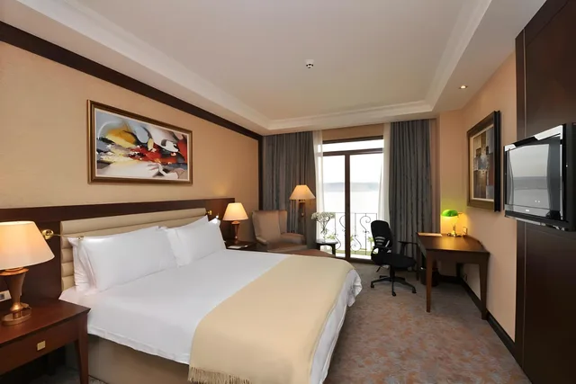 غرفة ديلوكس مفردة بإطلالة على الجبل، Wellborn Luxury Hotel 1/1