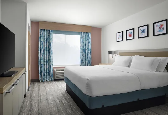 جناح بسرير كينج بغرفة نوم واحدة لذوي الإعاقة، Hilton Garden Inn Tampa East Brandon 2/9