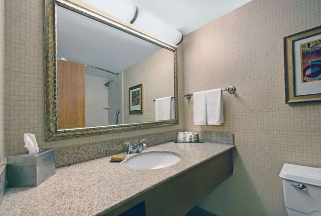 جناح جونيور بسرير كينج بجاكوزي، Doubletree By Hilton Grand Junction 5/6