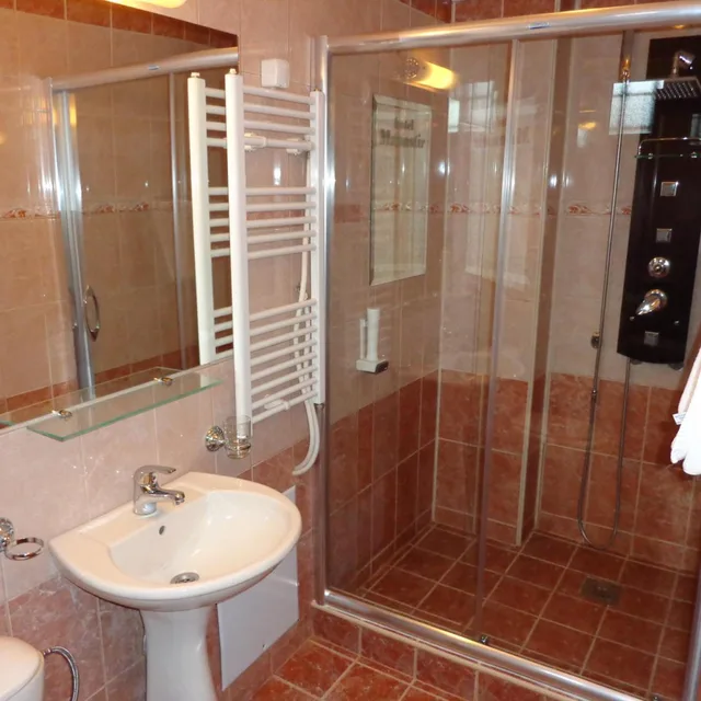 Standard, Double or Twin Bed, HOTEL MANASTIR BEROVO 1/2