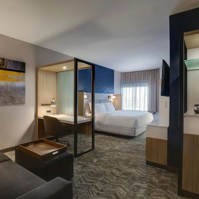 Room, King Bed, Trundle Bed, Sofa, Bathtub, Accessible, SpringHill Suites by Marriott Cheraw 5/7