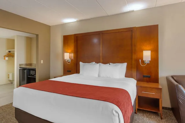جناح بسرير كينج لذوي الإعاقة، Comfort Suites South Park 1/1