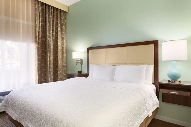 1 Bedroom, Suite, King Bed, Hampton Inn & Suites Tarpon Springs 1/2