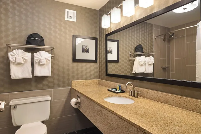 غرفة ديلوكس بسرير كينج مع أريكة، Best Western Premier Airport/Expo Center Hotel 7/8