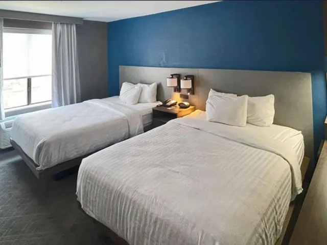 جناح بسرير كوين لذوي الإعاقة، Comfort Suites Mobile-South Alabama University Area 1/5