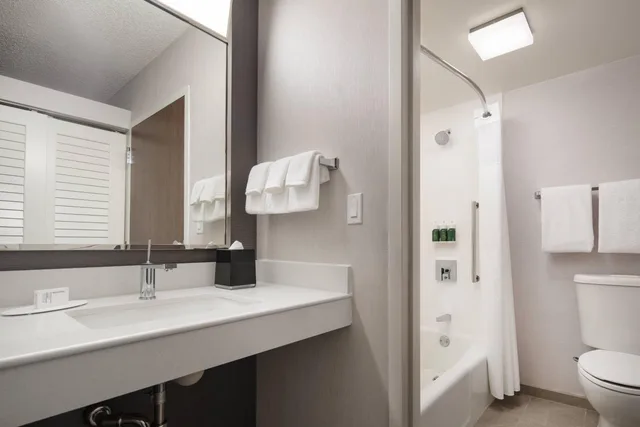 جناح بسرير كينج بغرفة نوم واحدة مع أريكة، Courtyard by Marriott Palm Springs 3/3