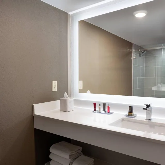 Guest Room, King Bed, Balcony, Phoenix Airport Marriott 6/17