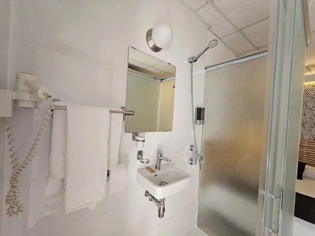 غرفة خارجية مفردة بسرير فردي بحمام خاص، Hotel Palermo 6/6