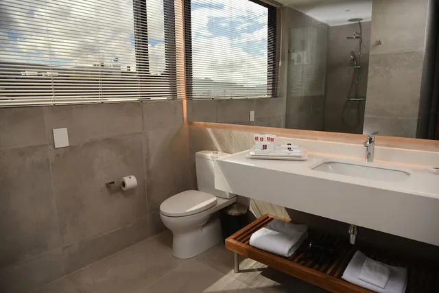 غرفة سوبيريور بسرير كينج، Hotel Sabana Park 4/4