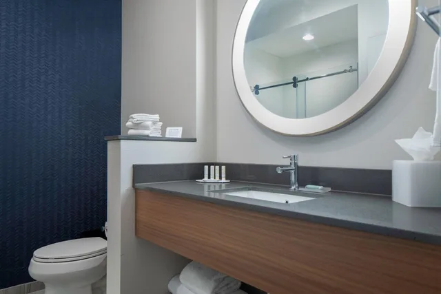 غرفة بسرير كينج بحوض استحمام لذوي الإعاقة، Fairfield Inn & Suites by Marriott Dallas McKinney 3/6