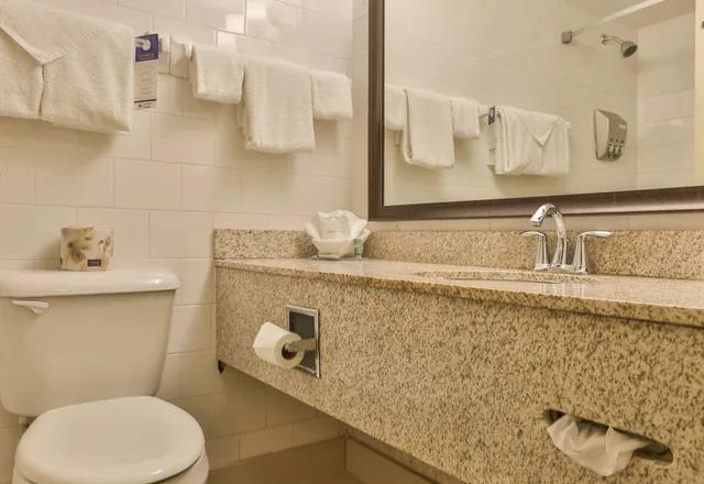 غرفة قياسية بسريرين مزدوجين بشرفة، Best Western Brantford Hotel Conference Centre 6/9