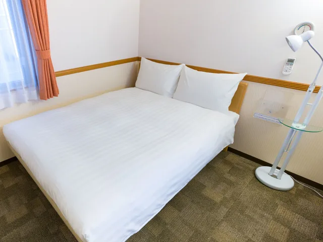 Economy, Double Bed, Toyoko Inn Fujisan Mishina Eki 1/4