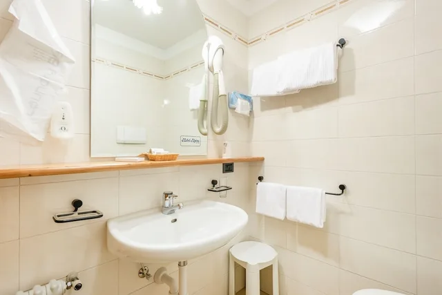 Economy, Double Bed, Alpina Hotel 5/7