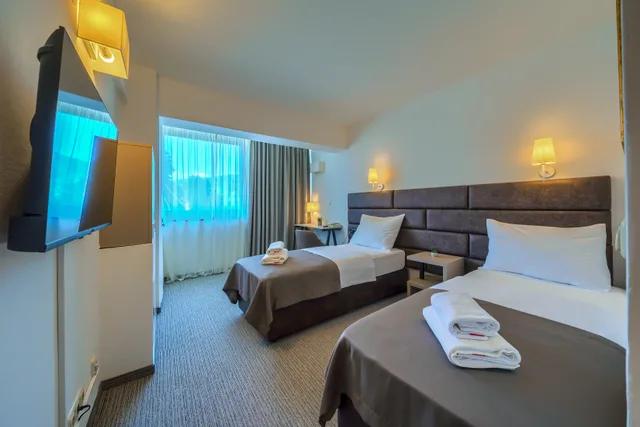 غرفة كومفورت بسرير مزدوج أو سريرين منفصلين، Hotel Alkar 5/8