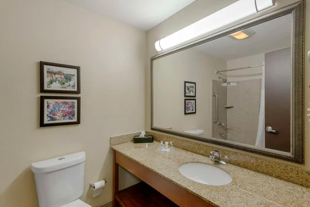 جناح بسريرين كوين، Comfort Suites Columbus State University Area 3/3