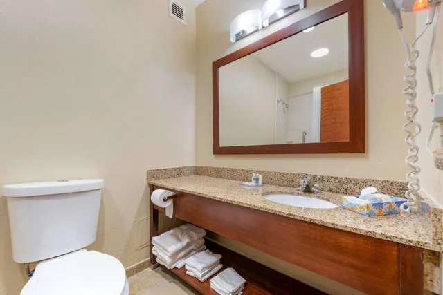 Room, King Bed, Comfort Inn & Suites Michigan City South 4/4