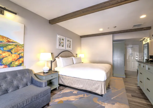 Room, King Bed, Patio, Accessible, The Lodge at Healdsburg, tapestry Collection by Hilton 2/5