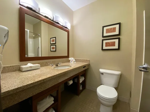 Efficiency, Suite, King Bed, Pet Friendly، Comfort Suites Coralville 2/5
