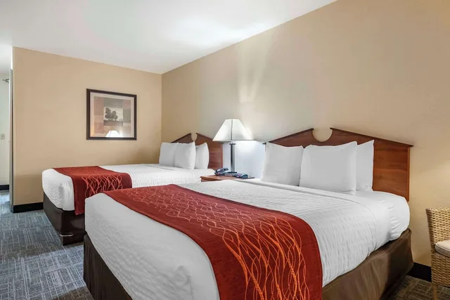 غرفة قياسية بسريرين كوين يُسمح فيها بالحيوانات الأليفة، SureStay Plus Hotel by Best Western Buffalo 3/6
