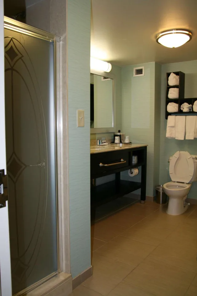 1 Bedroom, Garden, Suite, King Bed, Sofa, Bathtub، Hampton Inn Shreveport Airport La 3/3