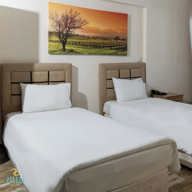 غرفة قياسية بسريرين كينج بغرفة نوم واحدة، Hotel Zileli 4/10