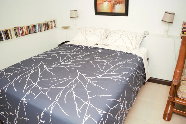 فيلا تنفيذية بسرير كوين بغرفة نوم واحدة بمطبخ، New Kingston Guest Apt At Evans 1/4