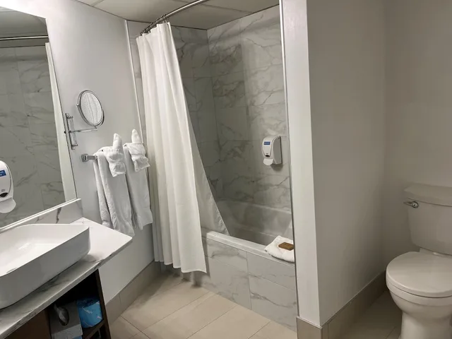 غرفة مفردة بسرير كينج بحوض جاكوزي بحوض استحمام، Hotel Spa Excelsior 2/3
