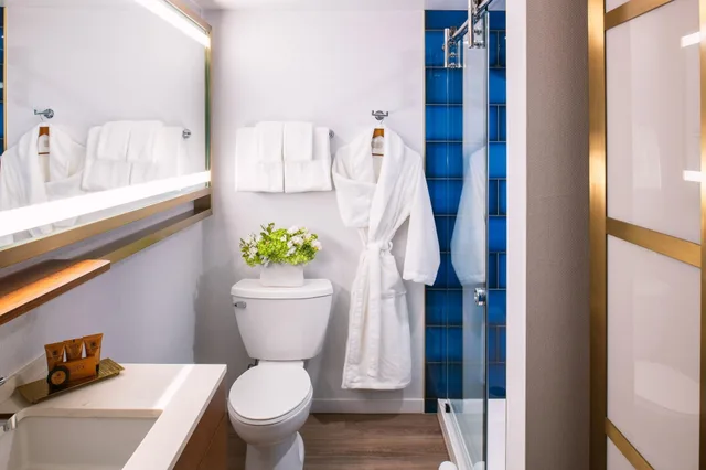Superior, Double Bed, City View, Le Meridien Essex Chicago 4/5
