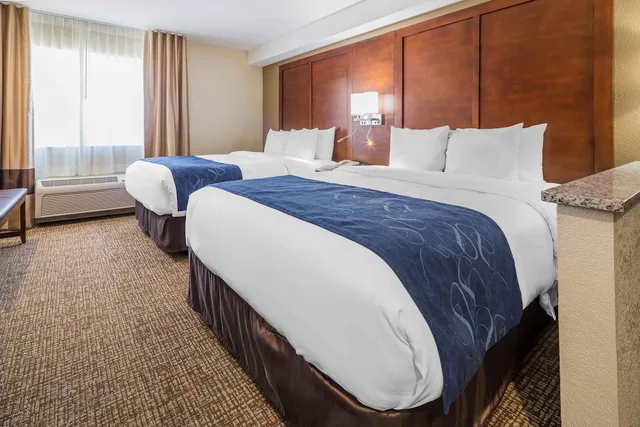 جناح بسريرين كوين لذوي الإعاقة، Comfort Suites El Paso Airport 5/9