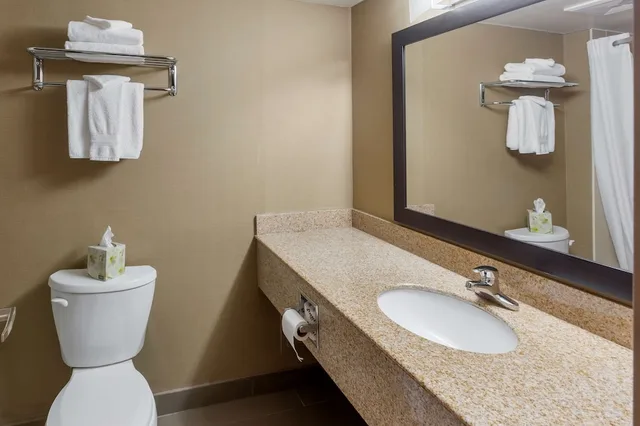 Standard, King Bed, Sofa, Pet Friendly, Patio, Best Western Plus Leamington Hotel and Conference Centre 6/6