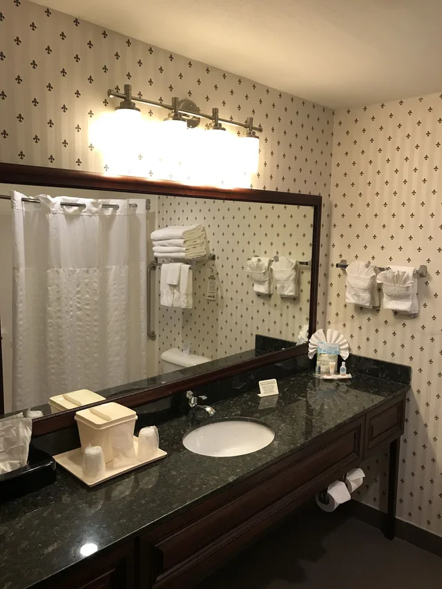 جناح بسريرين مزدوجين مع أريكة، Comfort Suites Madison West - Middleton 10/10