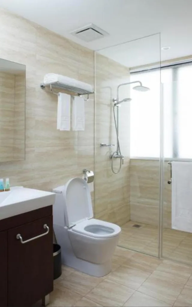 جناح بسرير كينج بغرفة نوم واحدة، Ace Hotel And Suites 4/4