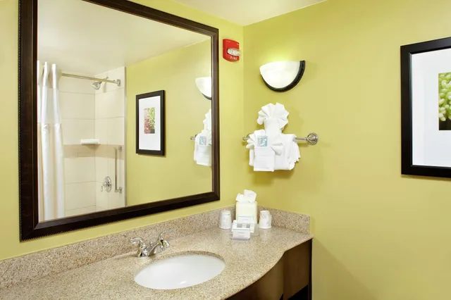 جناح بسرير كينج بغرفة نوم واحدة لذوي الإعاقة، Hilton Garden Inn Tampa East Brandon 4/9