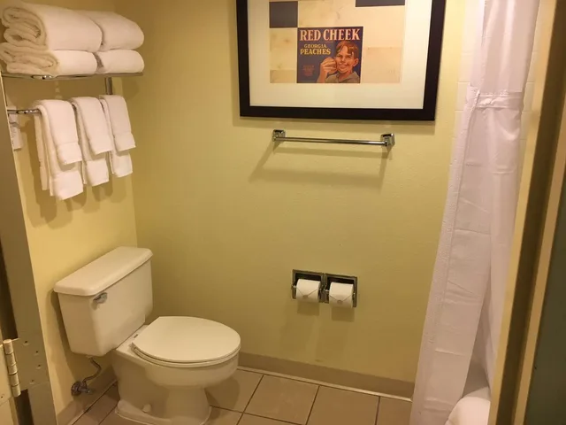 جناح جونيور بسرير كينج، Sonesta Gwinnett Place Atlanta 1/1