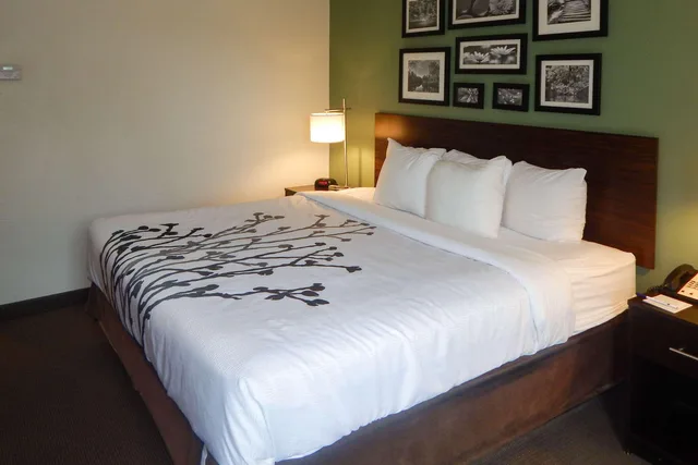 غرفة بسرير كينج، Sleep Inn & Suites Evergreen I-65 1/2