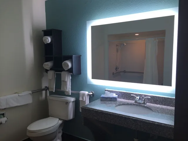 Standard, King Bed, Pet Friendly, Best Western Mayport Inn & Suites 4/5