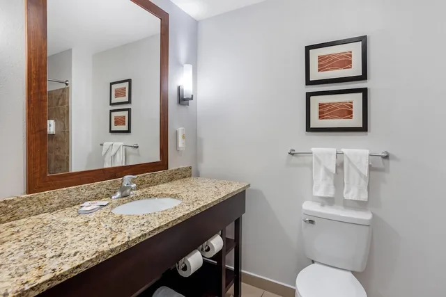 جناح بسرير كينج مع أريكة بجاكوزي، Comfort Inn & Suites Sayre, PA 6/8
