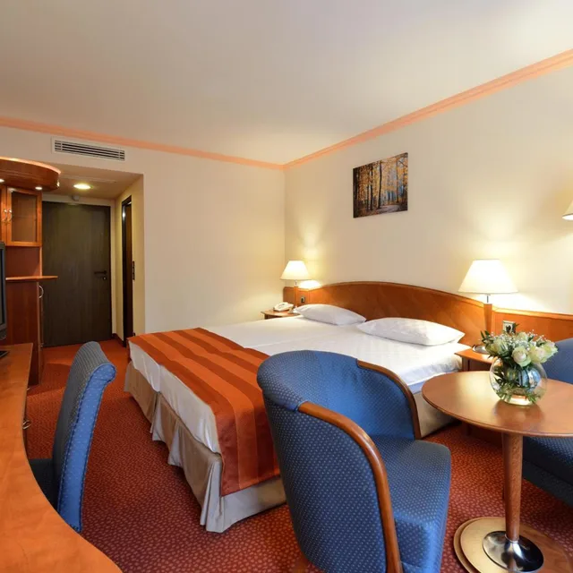 غرفة سوبيريور بسرير مزدوج، Danubius Health Spa Resort Sarvar 5/6