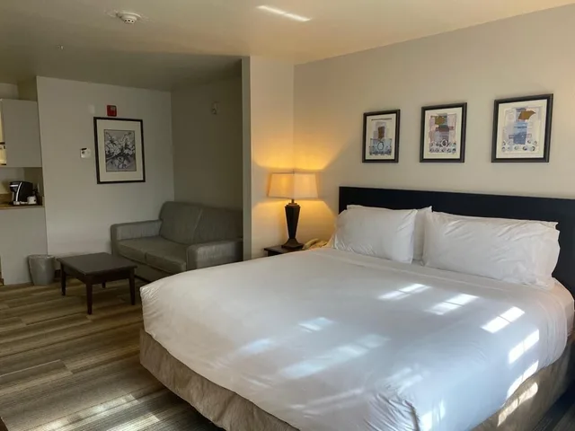 غرفة ديلوكس بسرير كينج لذوي الإعاقة، Hotel Marguerite Anaheim/Garden Grove, Trademark Collection 1/10