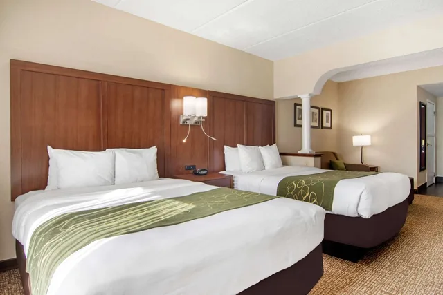 جناح بسريرين كوين، Comfort Suites Woodstock - Atlanta North 1/4