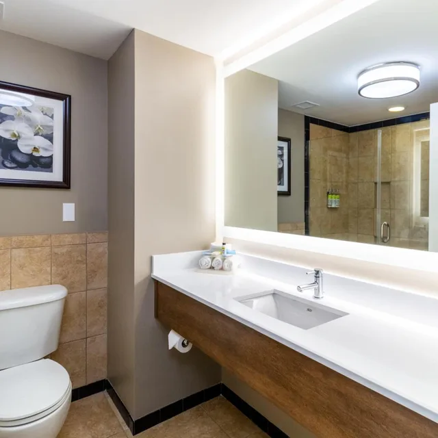 Superior, King Bed, Holiday Inn Express Savannah Historic District 10/10